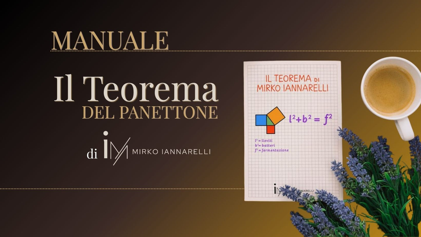 Manuale - Teorema del Panettone