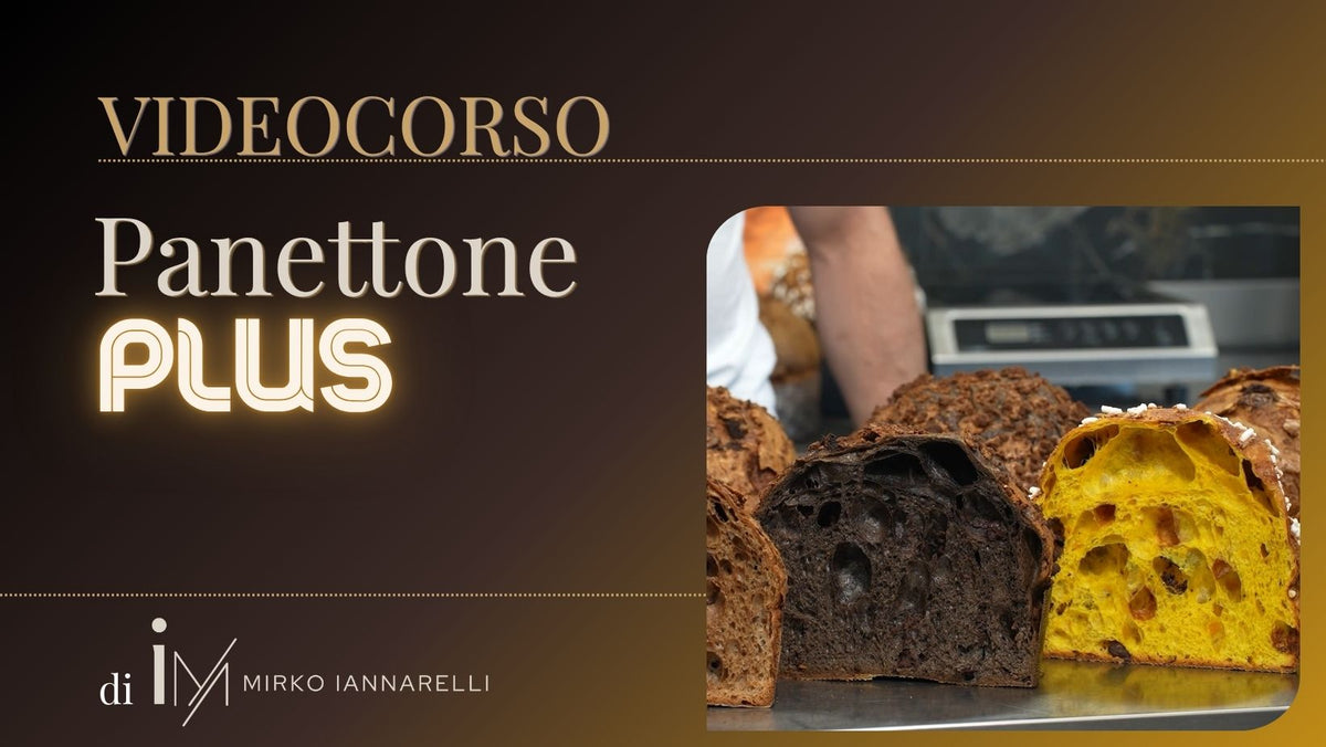 Videocorso - Panettone Plus